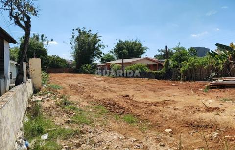 Image 7 - 263666