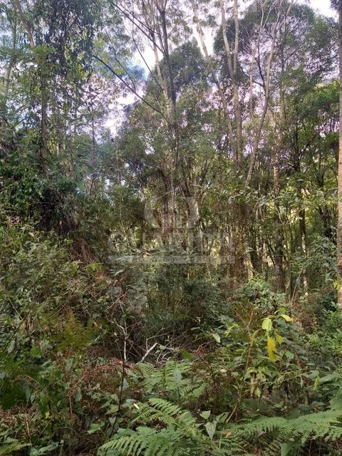 Image 4 - 275394