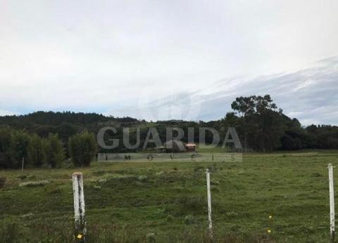 Image 6 - 275400